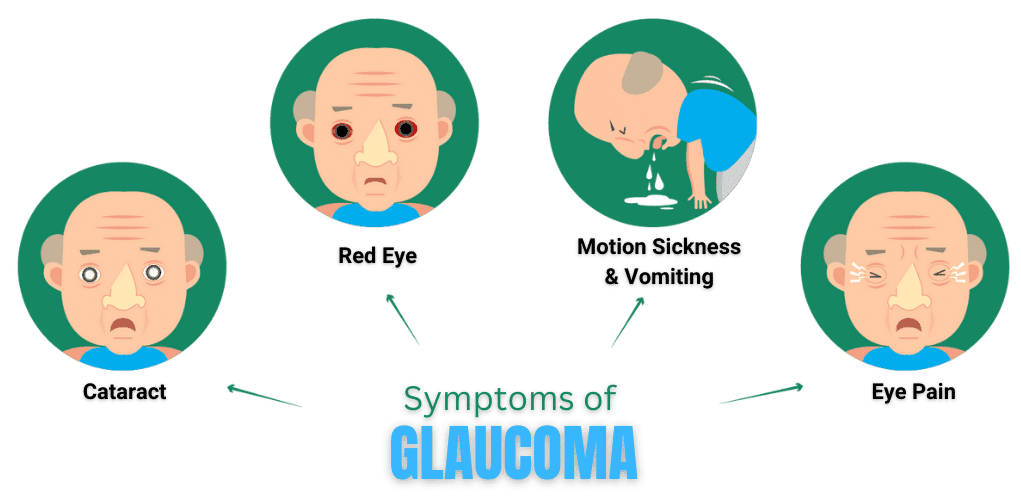 symptoms of Glaucoma or Kalamotia